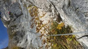 Toby Dazenko beim Training am Grünstein-Klettersteig 2016