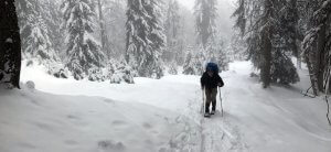 Nicolas Scheidtweiler  dynamisch auf Schneeschuhen
