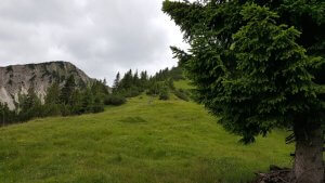 Ammergauer Alpen: Blick auf den Kreuzkopf