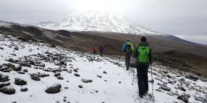 Der Weg von der Mawenzi Tarn Hut zum Basislager Kibo Hut - 7summits4help auf dem Kilimanjaro via Rongai-Route