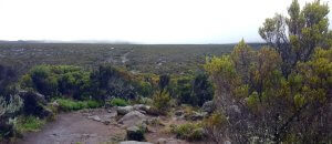 Panorama - 7summits4help auf dem Kilimanjaro via Rongai-Route