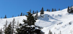 Mit Welt der Dächer auf dem Ochsenälpeleskopf - 7summits4help Fundraising (3)