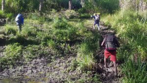 Der Matsch wird uns fortan begleiten -Carstensz Expedition nach Papua