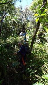 Kein Weg im Dschungel - Carstensz Expedition nach Papua
