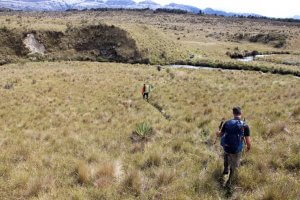 Das Team auf seinem Weg - Expedition Carstensz-Pyramide
