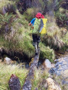 Jost Kobusch in Balance - Expedition Carstensz-Pyramide