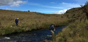 Mal wieder ein Fluss - Expedition Carstensz-Pyramide