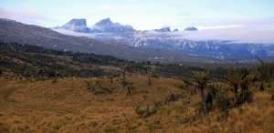 Das Ziel des Tages - Carstensz-Expedition in Papua
