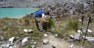 Gehversuche mit der Machete - Carstensz-Pyramide