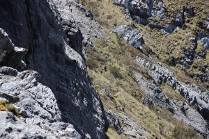 Werner Weiglein voraus - Carstensz-Pyramide
