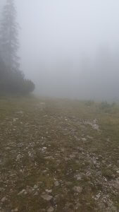 In Nebel vom Eibsee zur Zugspitze